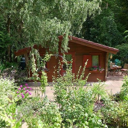 Ferienhaus Natura Neuruppin Bilik gambar