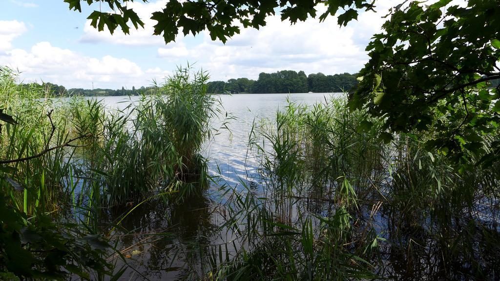 Ferienhaus Natura Neuruppin Bilik gambar
