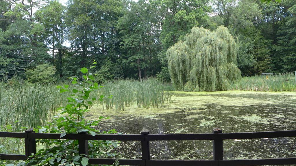 Ferienhaus Natura Neuruppin Bilik gambar