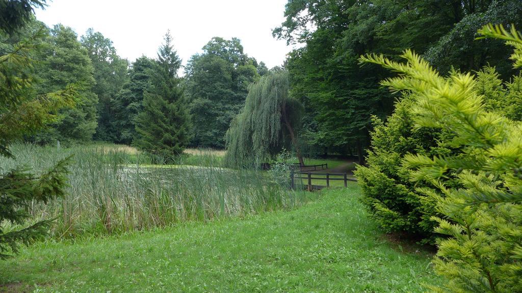 Ferienhaus Natura Neuruppin Bilik gambar