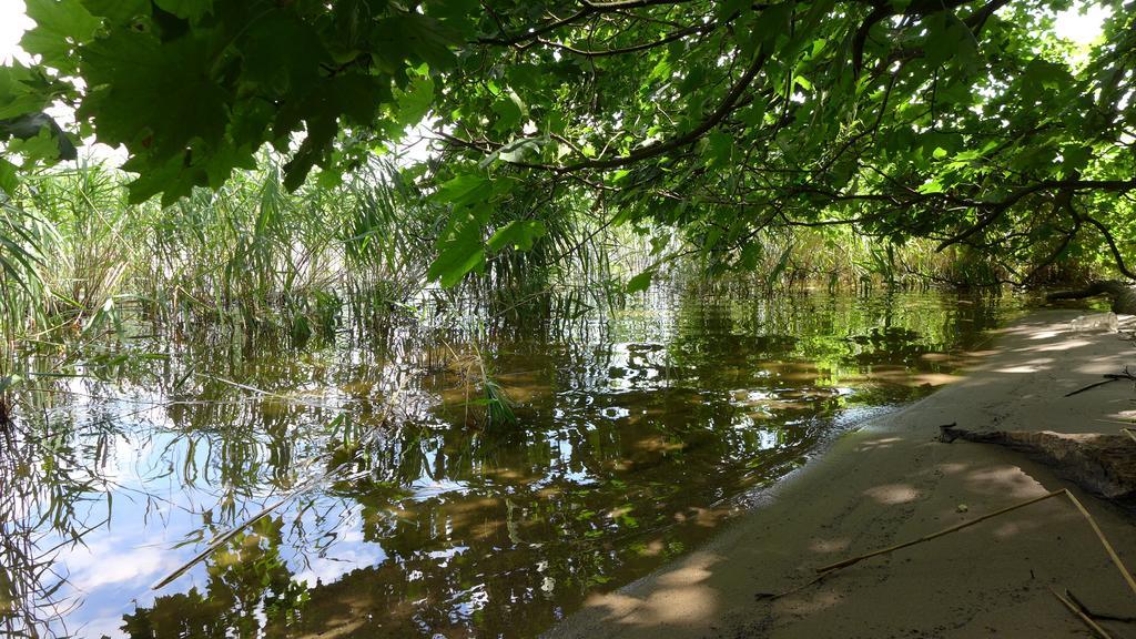 Ferienhaus Natura Neuruppin Bilik gambar