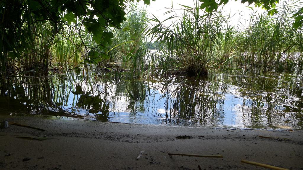 Ferienhaus Natura Neuruppin Bilik gambar