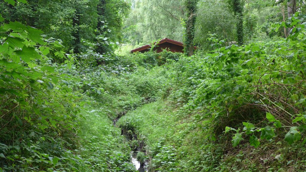 Ferienhaus Natura Neuruppin Bilik gambar